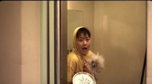 Barking Dogs Never Bite